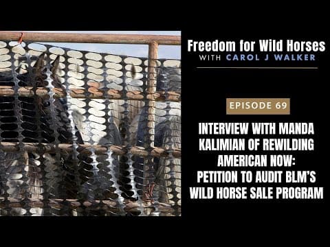 Interview with Manda Kalimian: Petition to Audit BLM’s Sale Authority Program