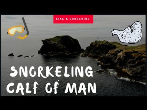 Snorkeling with Seals - Calf of Man