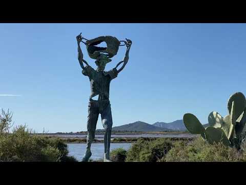 Ibiza - Ses Salinas 1955 to present