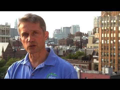 Help Save our Oceans!: A Groundbreaking Undersea Expedition with Fabien Cousteau