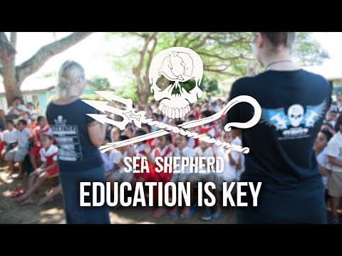 Part-Time Heroes Excerpt - Education is Key