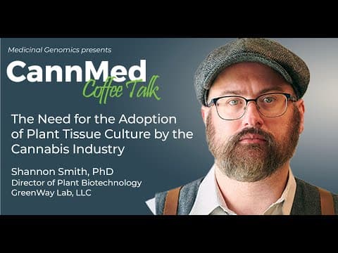 Plant tissue culture in cannabis production