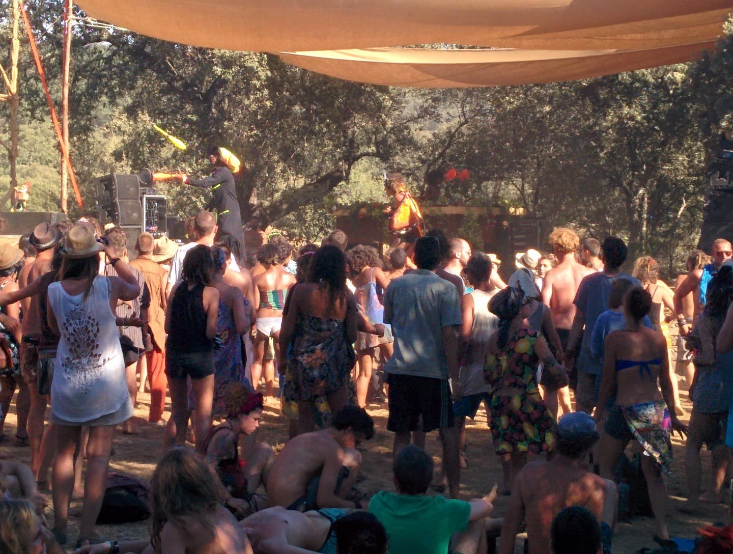 Crowd dancing among the trees, Boom 2014