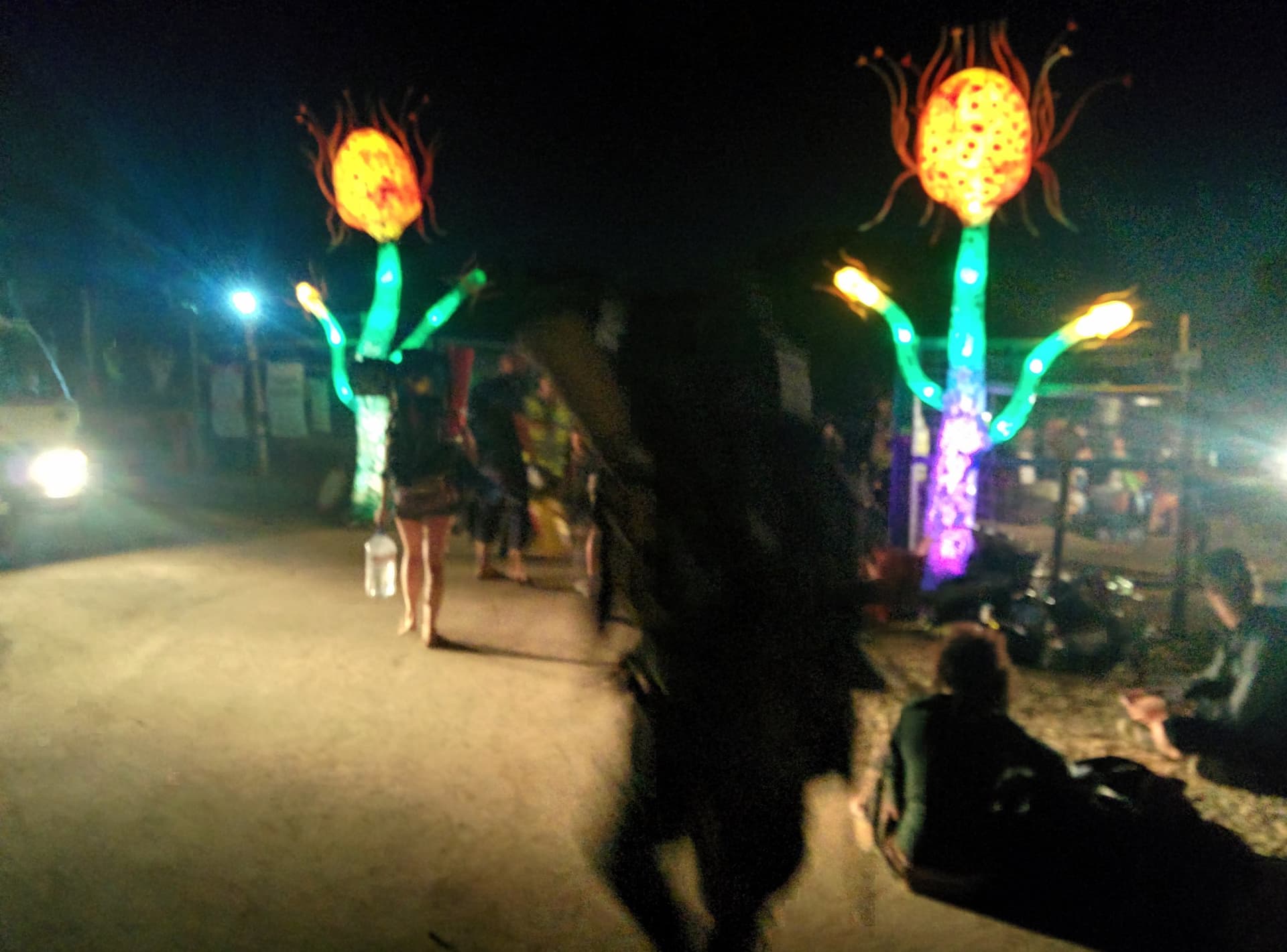 Glowing flower sculptures after dark, Boom 2014