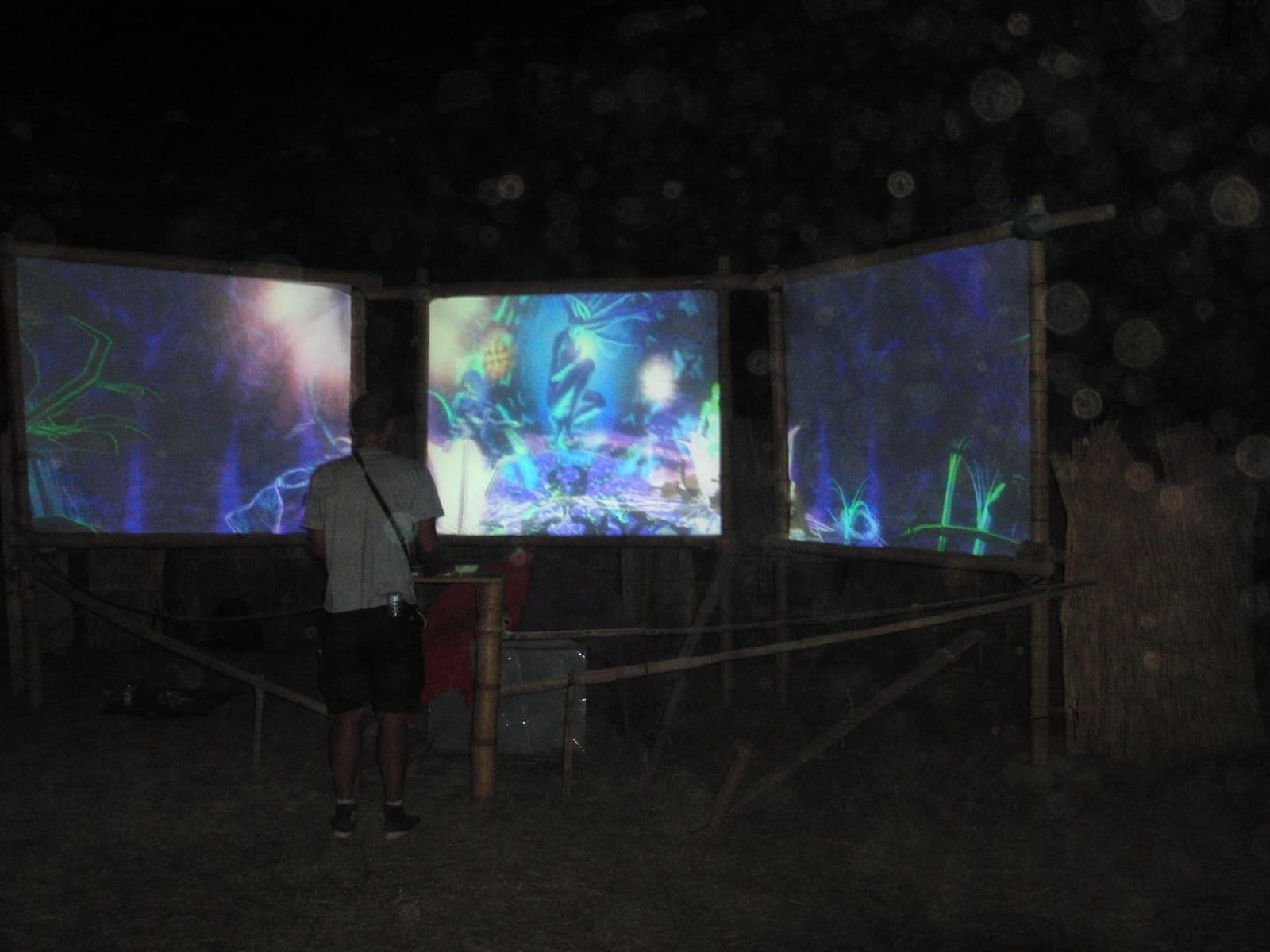 Lone visitor before the projection screens, Boom 2010