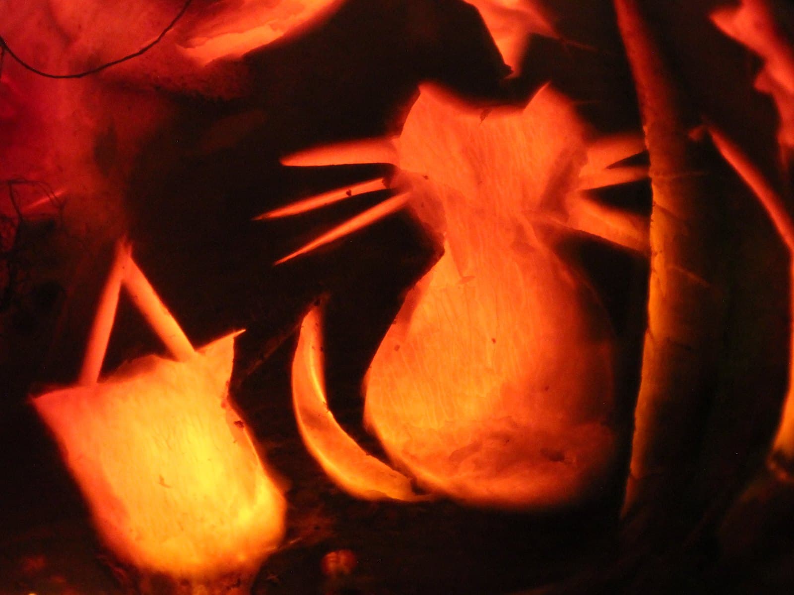 Hop-tu-naa turnip carving: A cat & a cauldron