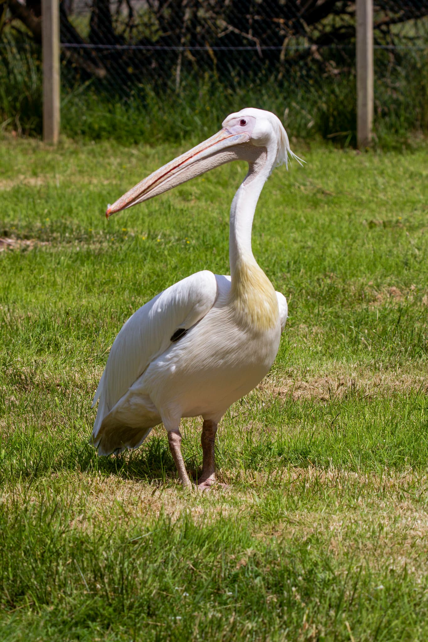 Wildlife Park (41)