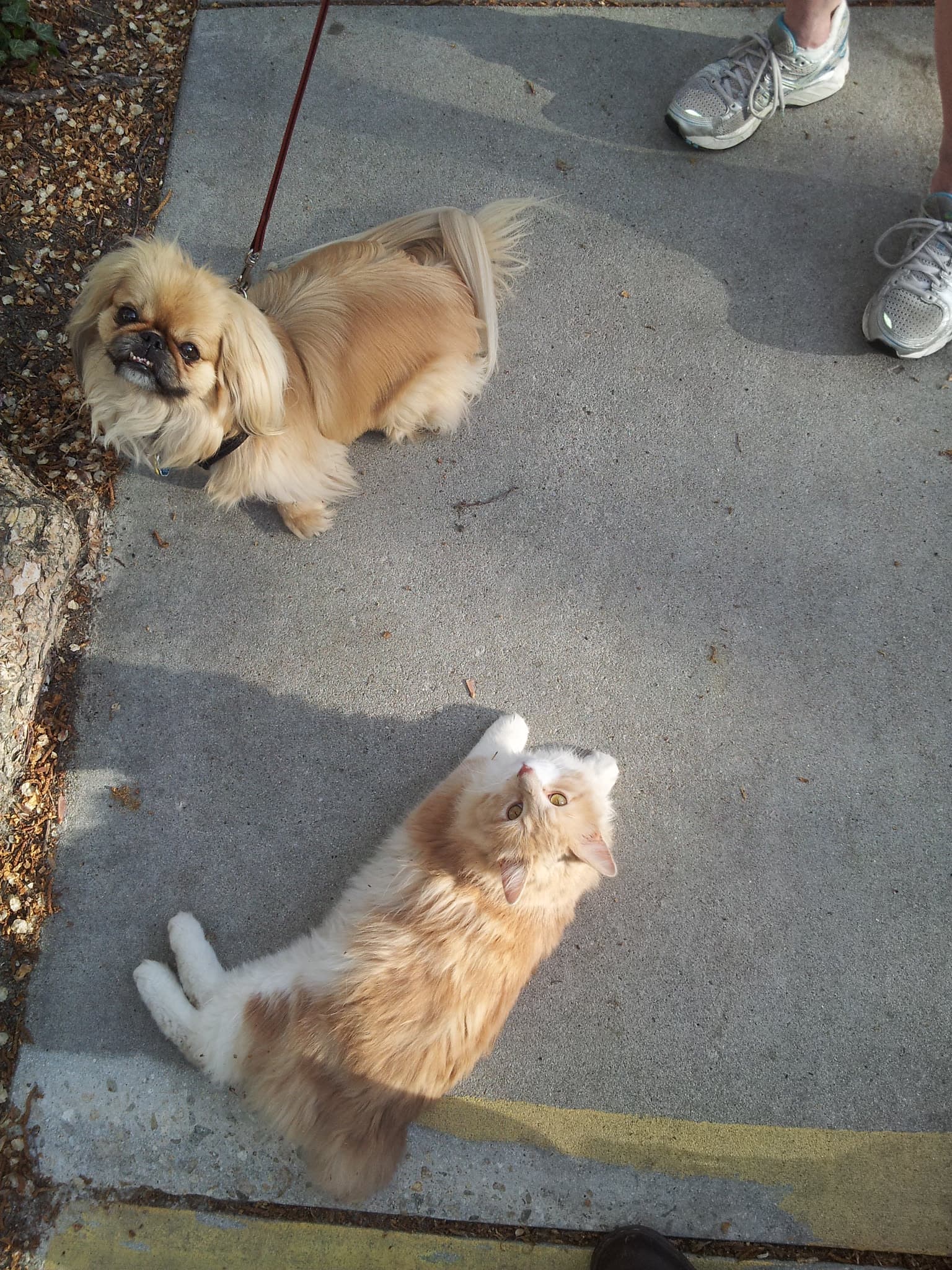 Best Buds