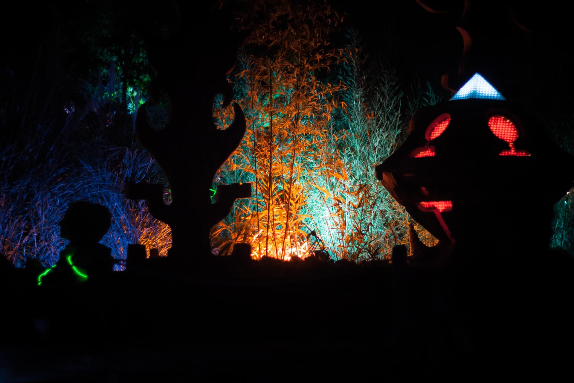Illuminated forest installation at night
