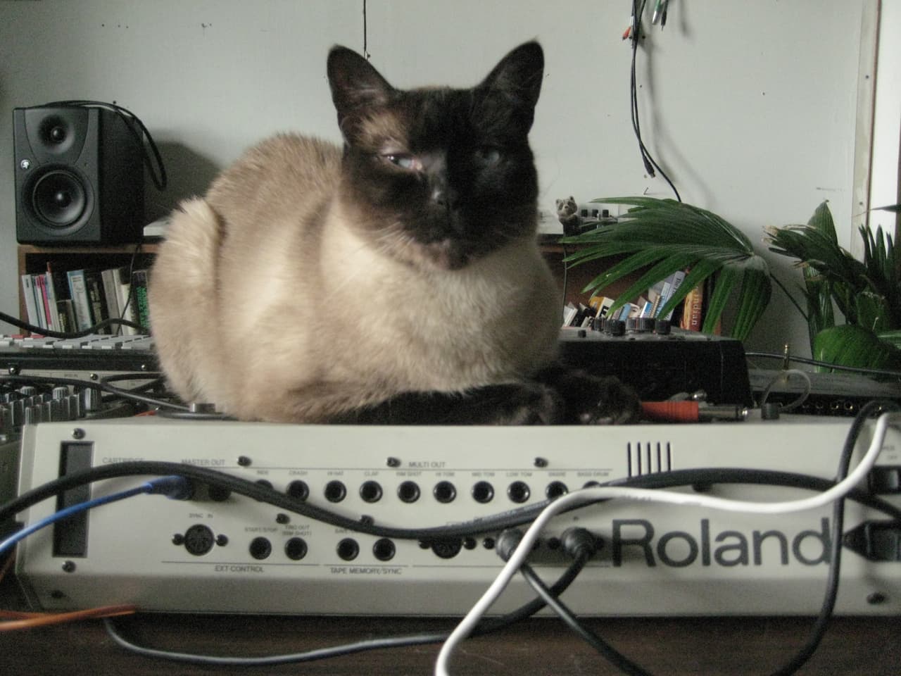 Will only sleep on the 909 (by eternal jamzzzz)