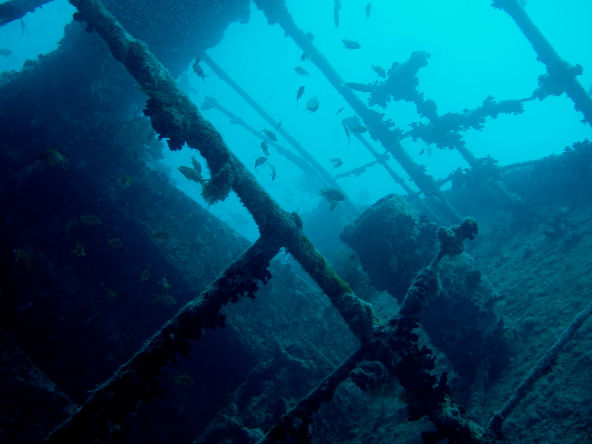 The wreck of the SS Thistlegorm in the Red Sea