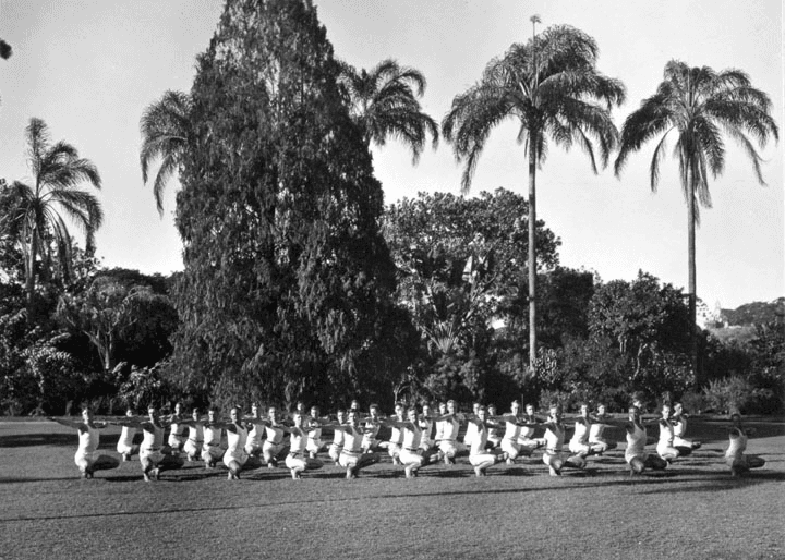 Massed physical culture display in Brisbane