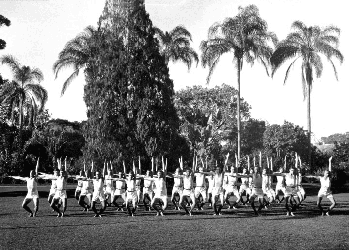 Physical culture display, Brisbane Botanic Gardens