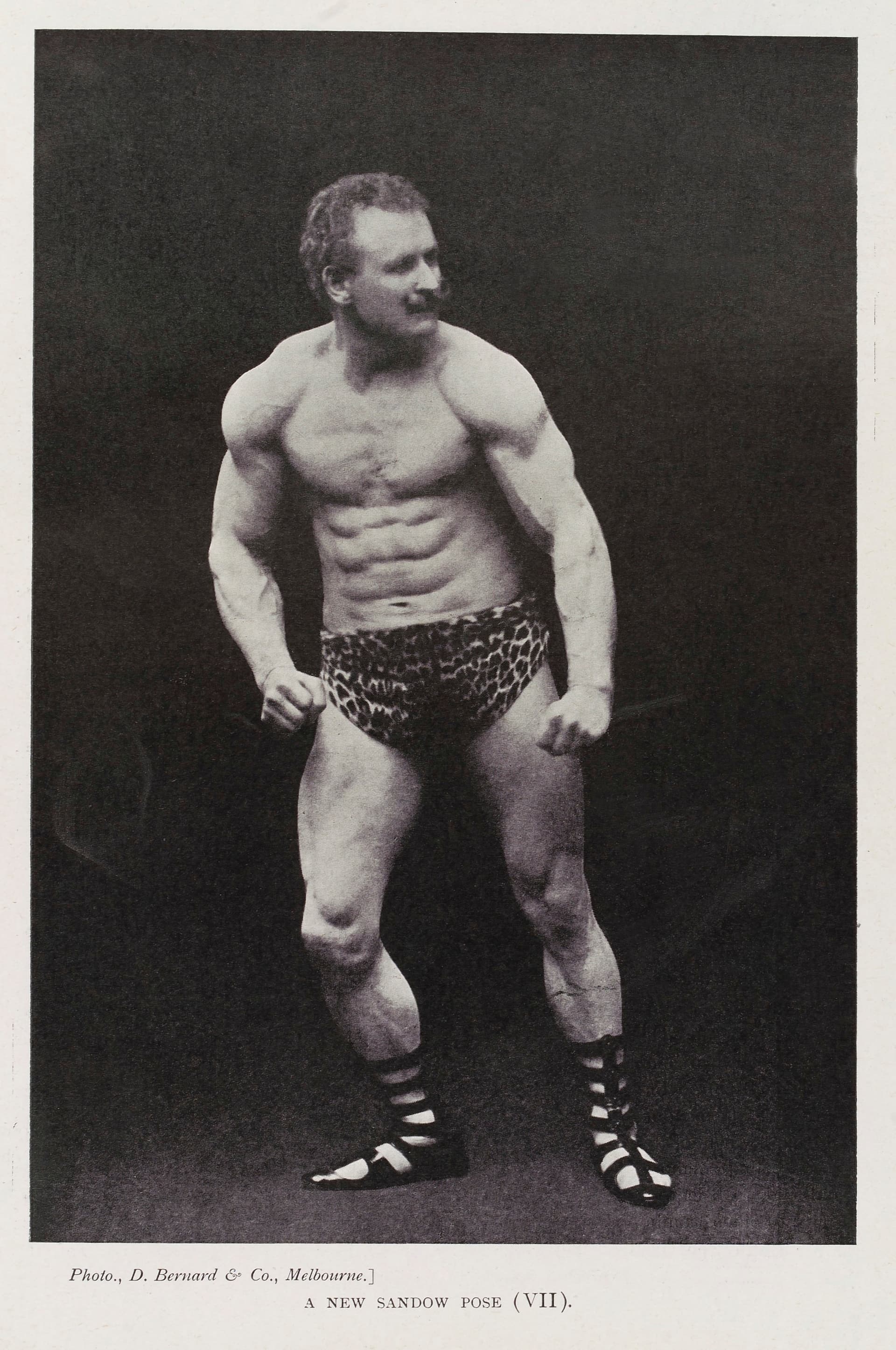 A New Sandow Pose, in leopard skin and sandals