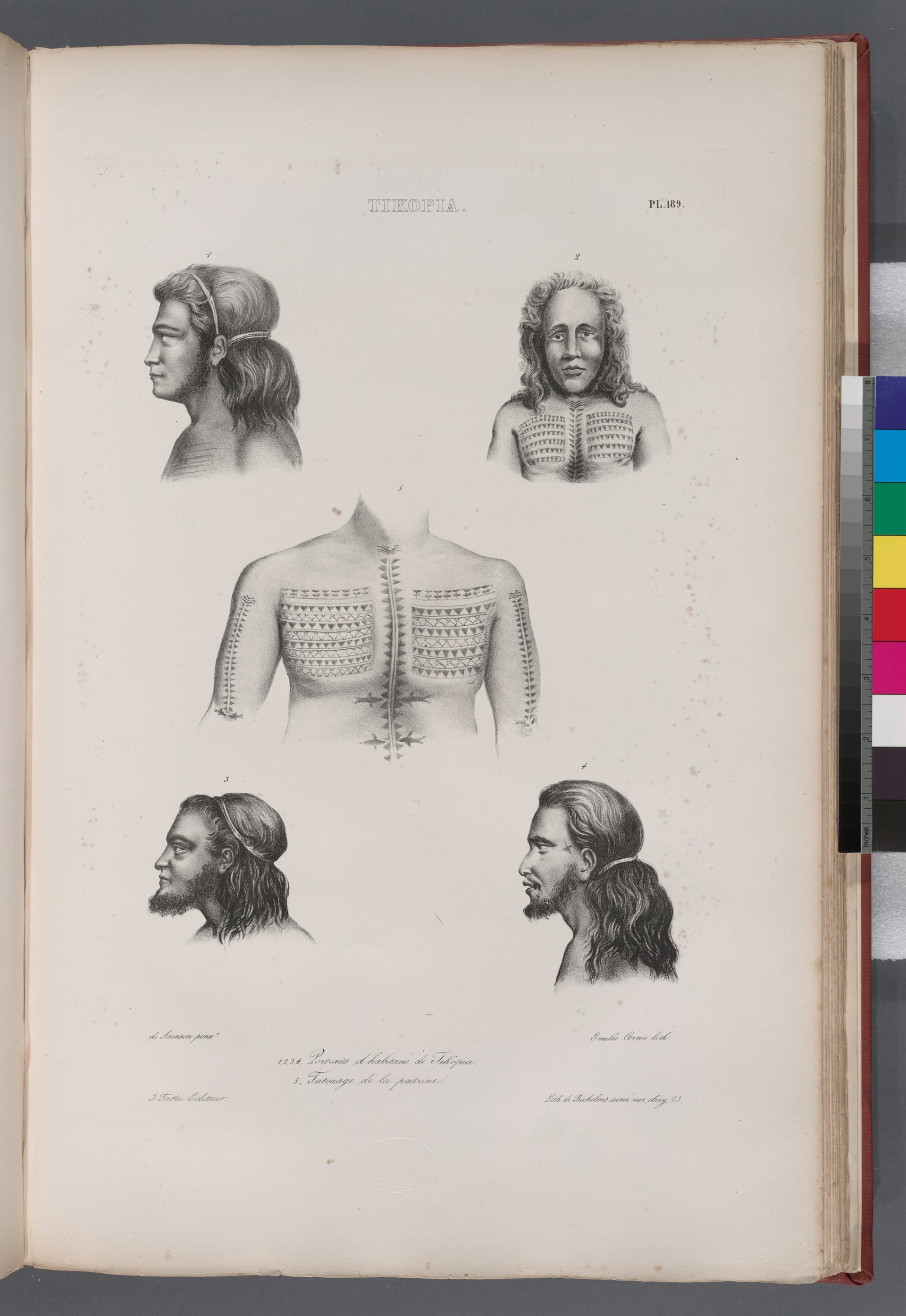 Tikopia.- 1. 2. 3. 4. Portraits d' habitans de Tikopia; 5. Tatouage de la poitune (NYPL b13624459-1266959)