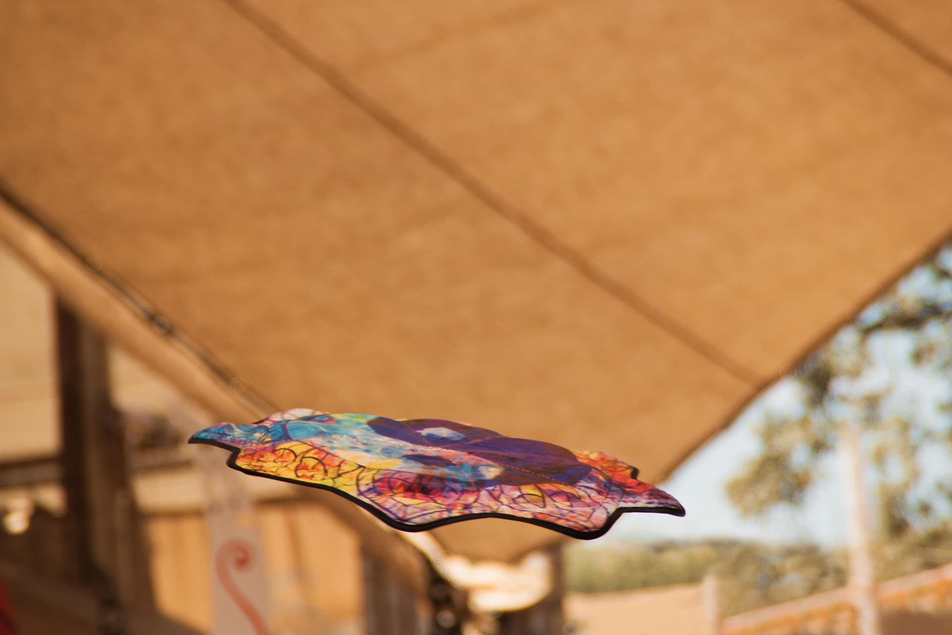 Painted cloth against a cane roof